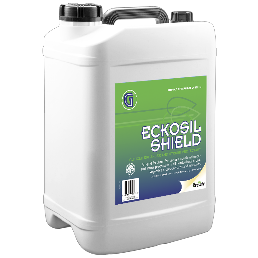 Eckosil Shield