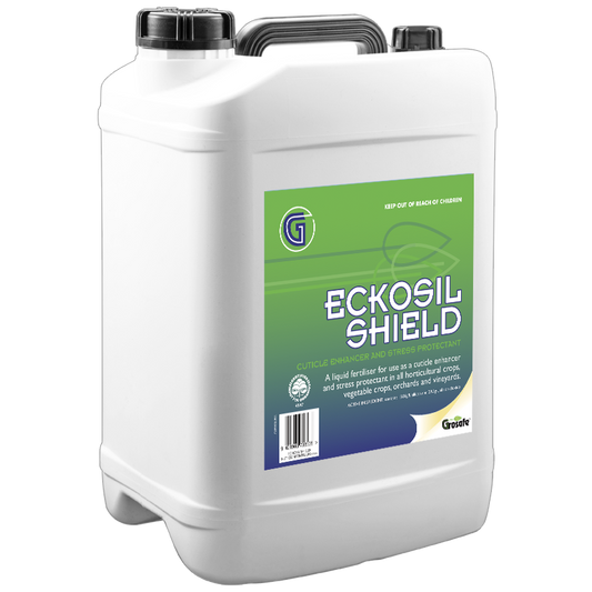 Eckosil Shield